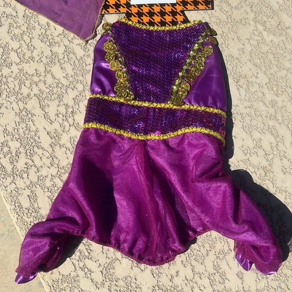 Female Dog Pet Costume Bell Dancer Size Small NWT - Picture 2 of 7